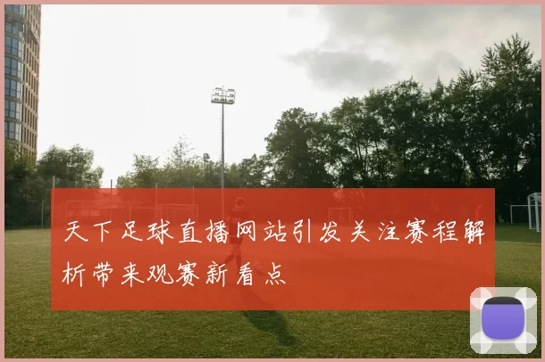 天下足球直播网站引发关注赛程解析带来观赛新看点