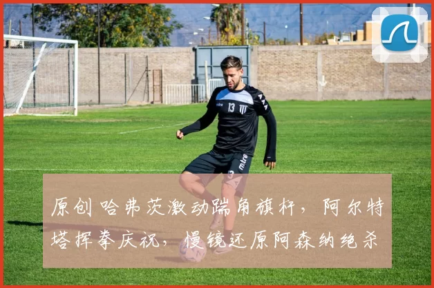 原创 哈弗茨激动踹角旗杆，阿尔特塔挥拳庆祝，慢镜还原阿森纳绝杀球