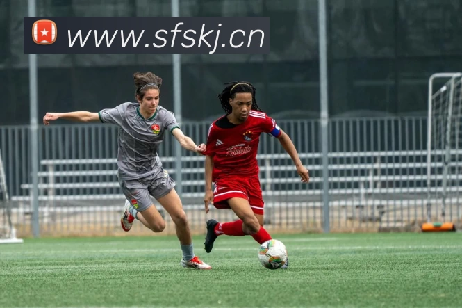 App Interface Preview